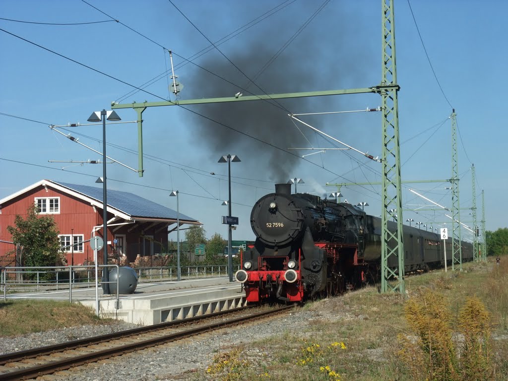 Nagold-Hochdorf: Einfahrt des ER-Sonderzuges im Hochdorfer Bahnhof by Dieter Zinser (RDZfd…