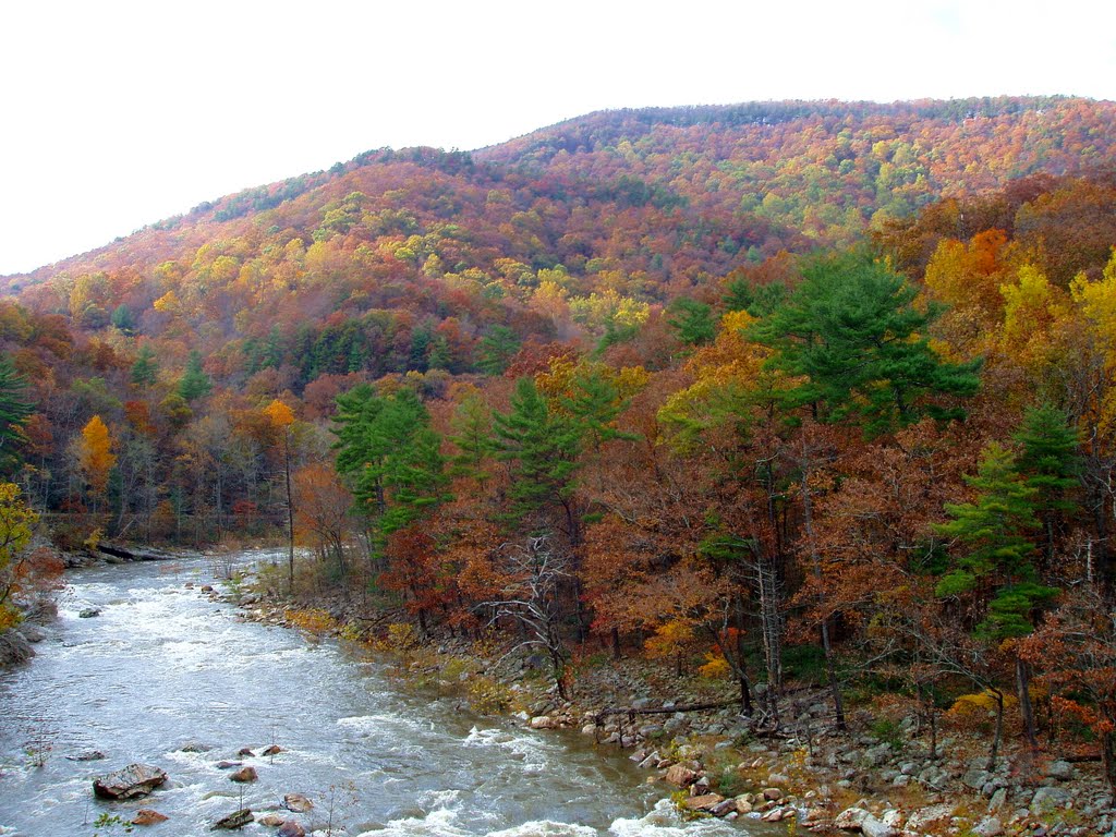 GOSHEN PASS OVERLOOK, ROCKBRIDGE COUNTY, VIRGINIA by EricBartsch