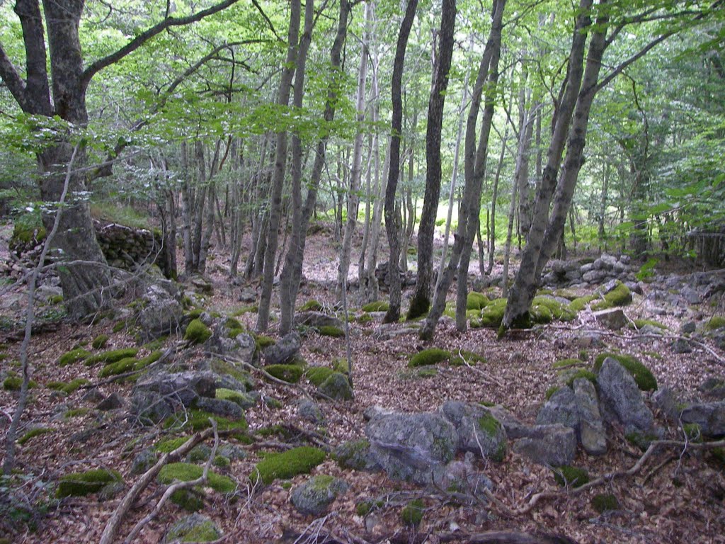 Corral o cercado al lado del chozo. by José Ramón Francia S…