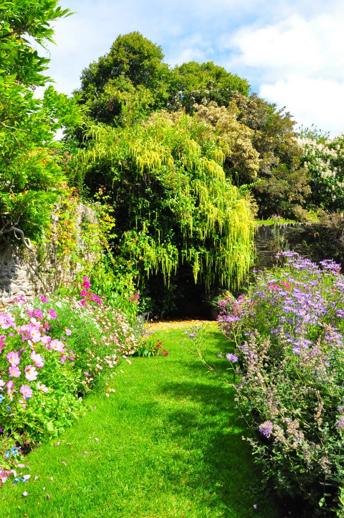 Coleton Fishacre by DAVID ROBINS