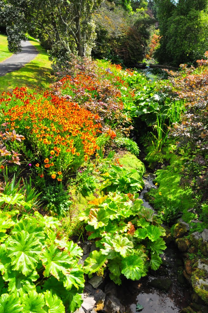 Coleton Fishacre by DAVID ROBINS