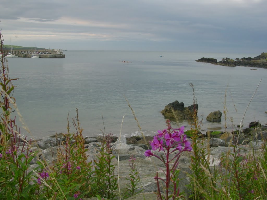 Stonehaven Harbour by Massimo Bergami