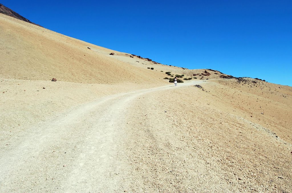 El Teide by Tomek Nikiel