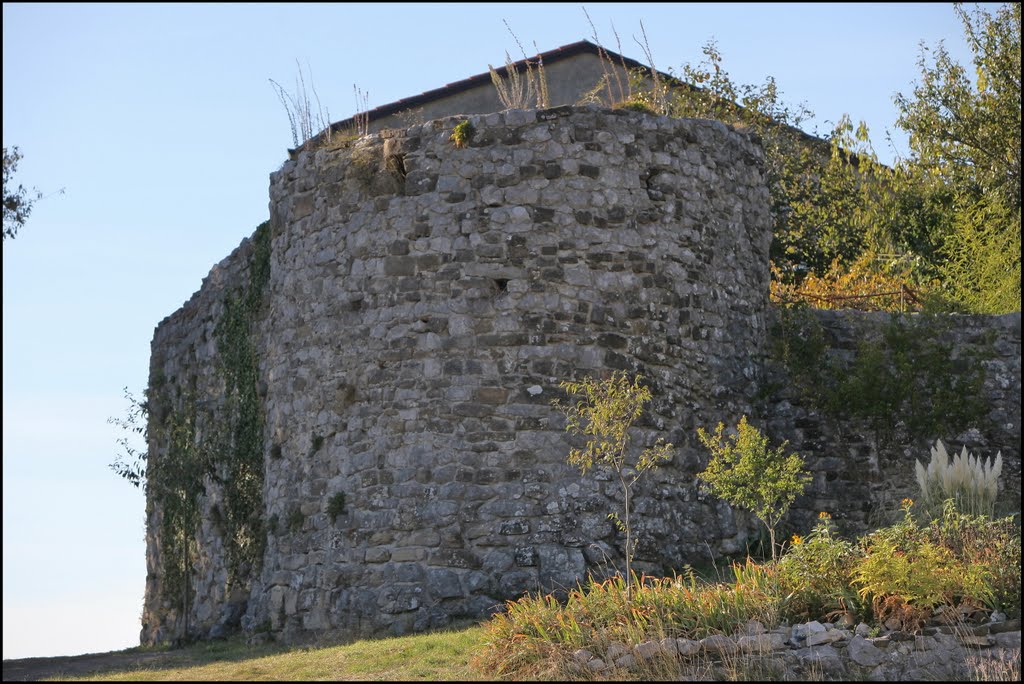 2001 S 495 Istra_08 11.10.2011. Roč by Vladimir Tkalčić