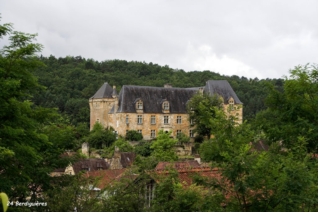 24 Berdiguières - Château by H. Rebours