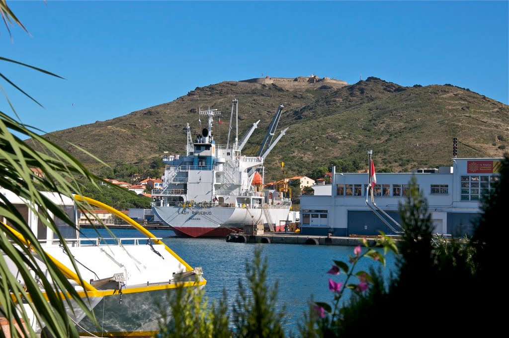 Port Vendres: Carregant mercaderies, dalt al fons el fort de Biarra a 210m. d'alçada. by salvador soler vilav…