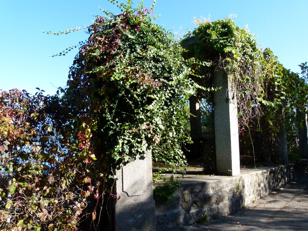 Jardin botanique et Parc Mon Repos by Magda GHALI