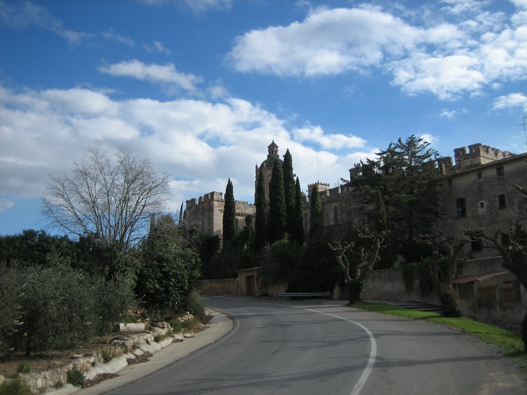 Santes Creus by Josep Valenti