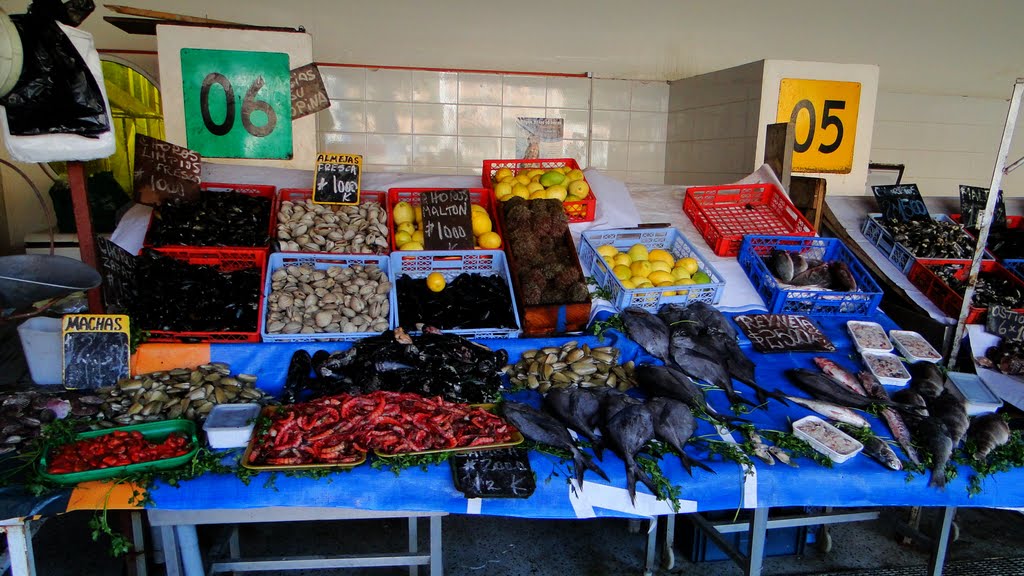 (2.562) Mariscos en Caleta Portales, Valparaíso, Chile ® - © by Patricio Cabezas