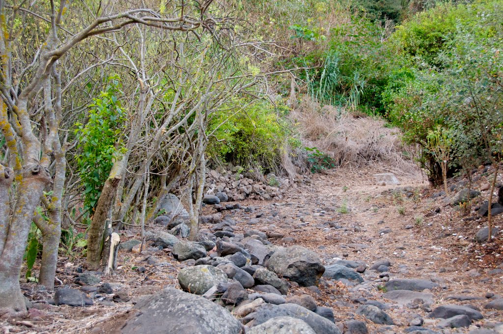 BARRANCO DE SANTA BRIGIDA by Rafael Peñate Navarro