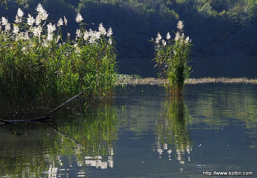 Riflessi sul lago by Gianpaolo Bottin