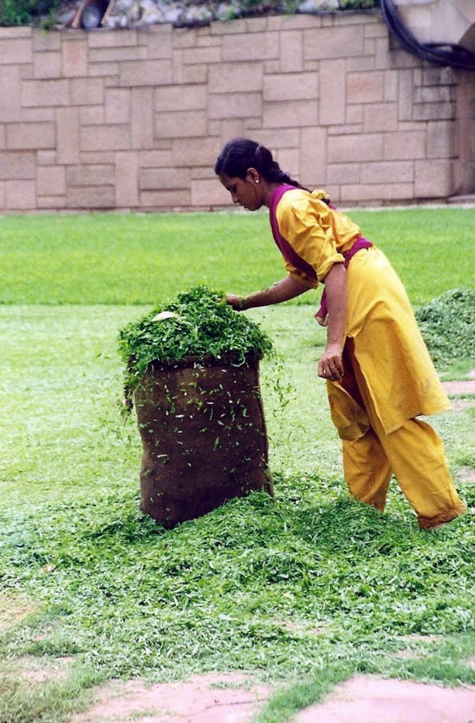 OC-Jardinera, Samadhi de Mahatma Gandhi by Osvaldo Colman