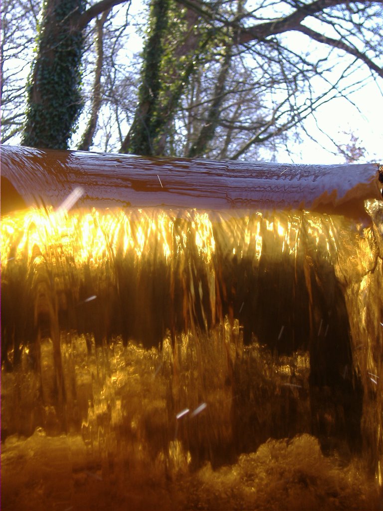 Wasserspiele in Gold by H.F.Haake