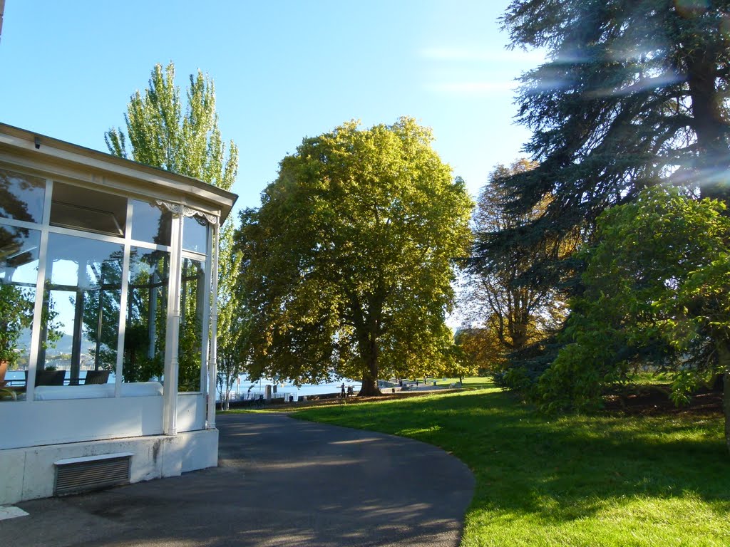 Institut Henry-Dunant, Parc Mon Repos by Magda GHALI