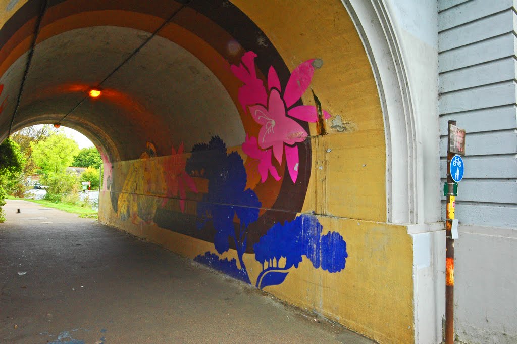 Mural under Reading Bridge by Bressons_Puddle