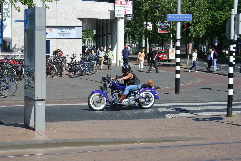 Eendrachtsplein (Rotterdam - Netherlands) by SilentSpotter1