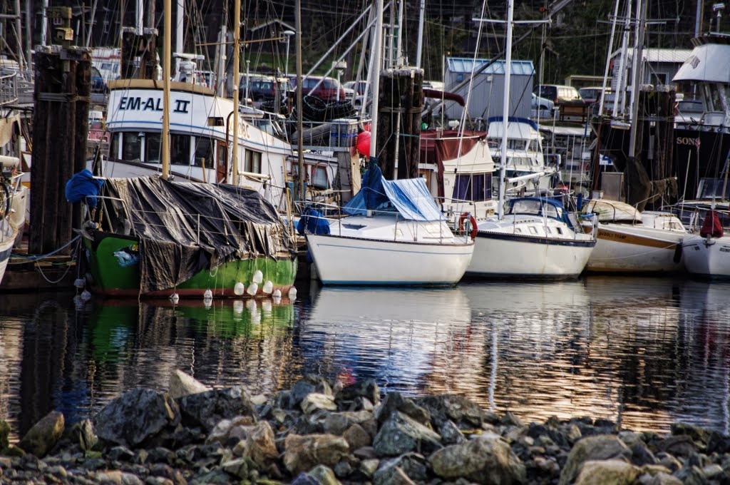 French Creek Afternoon by d55parks