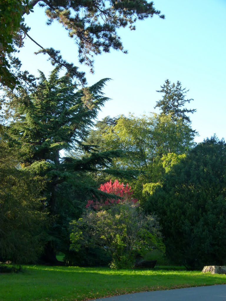 Parc du Parc Moynier by Magda GHALI