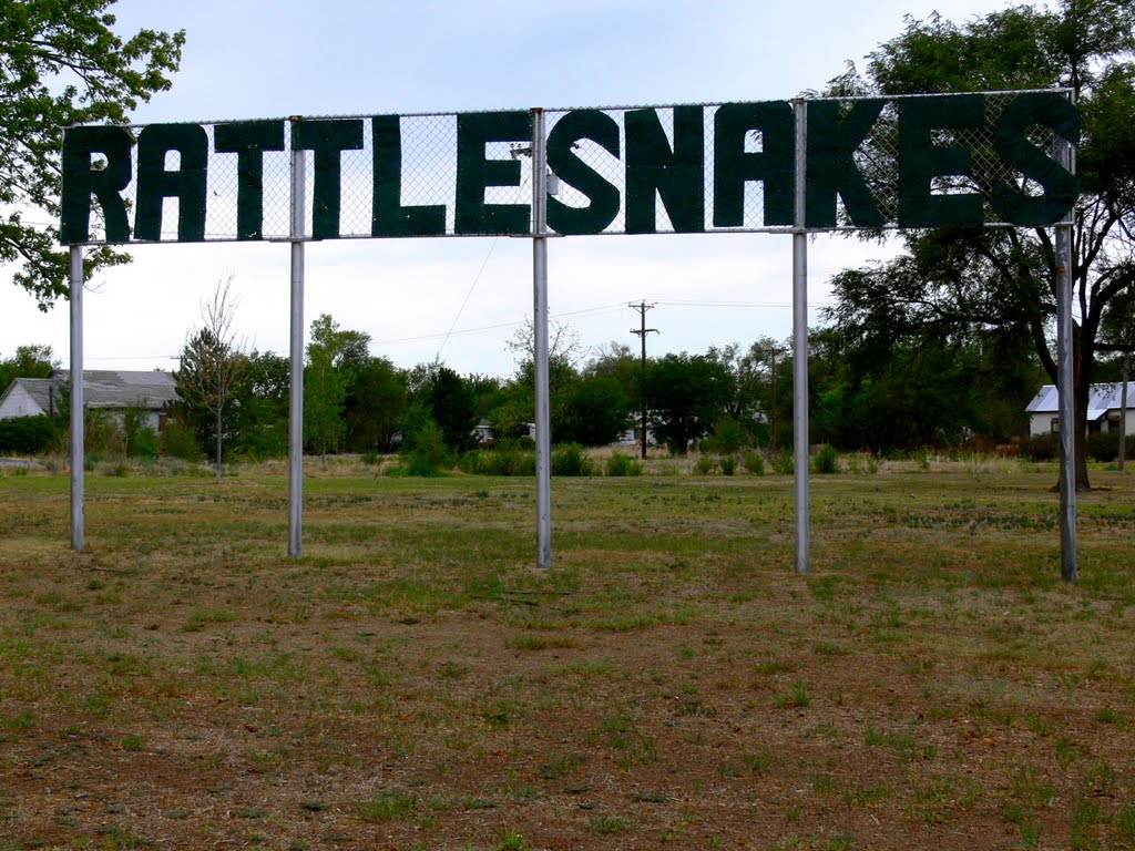 Rattlesnake, McLean, Texas by J.gumby.BOURRET