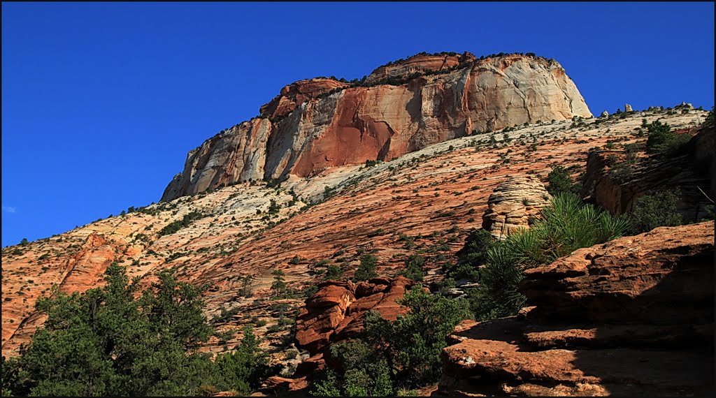 Canyon Overlook Trail, Zion NP 9.9.2011 ... C by americatramp.the2nd