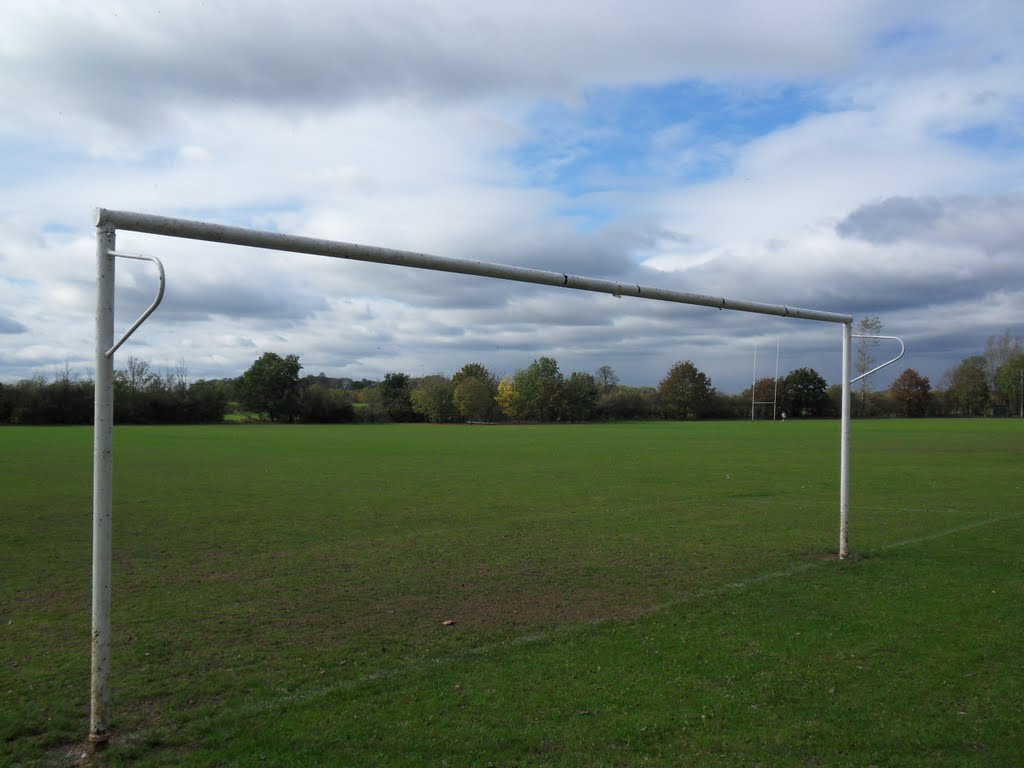 The Cosby playing fields, numerous perimeter trees. by Bobsky.