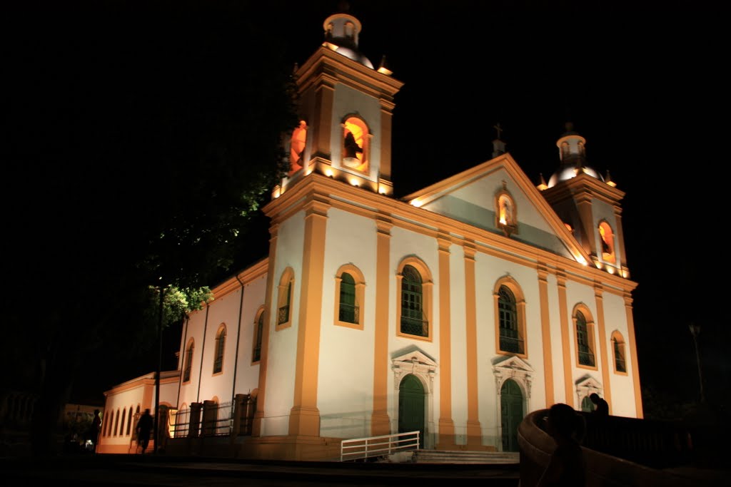 Kathedrale von Manaus at night by Nobb