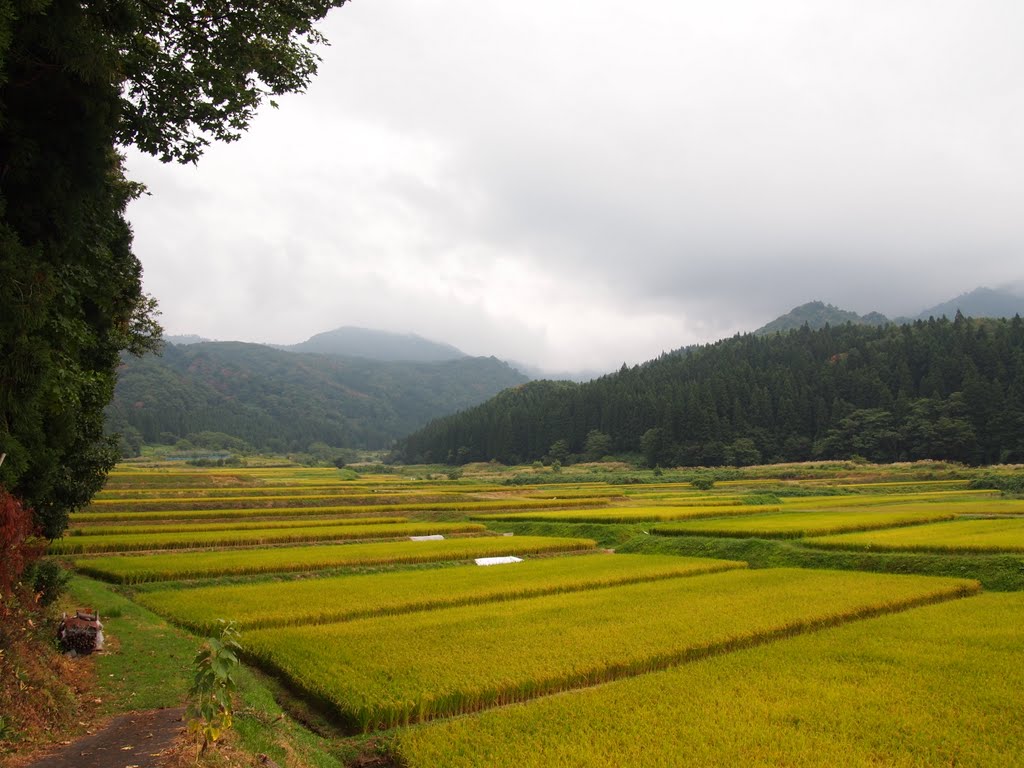 背炙り峠 Seaburi-Touge Pass by ming_tweets