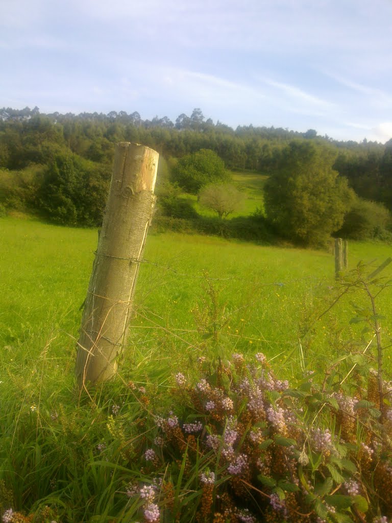 Candamo, Asturias, Spain by Sonia G