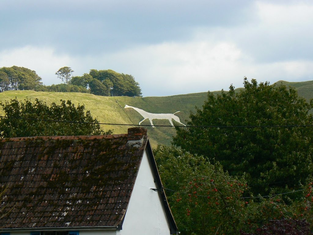 Cherhill White Horse, near Cherhill by Brian B16