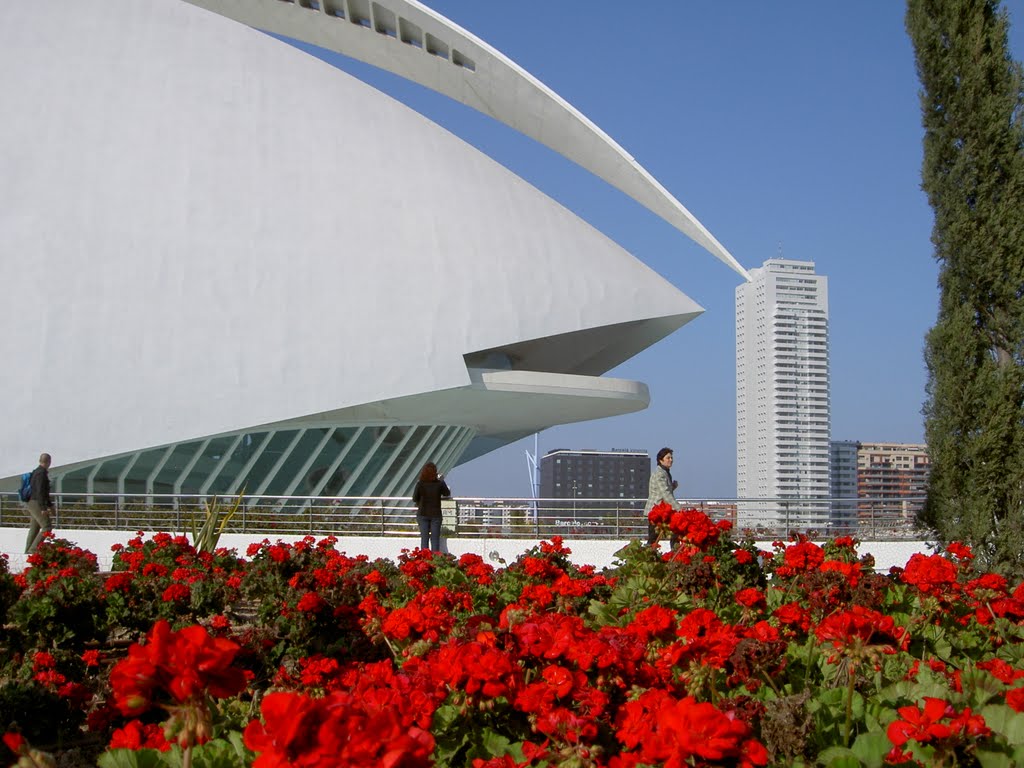 Palau de las Arts Reina Sofia, Valencia ,España. ( Estepa 32). by Estepa32