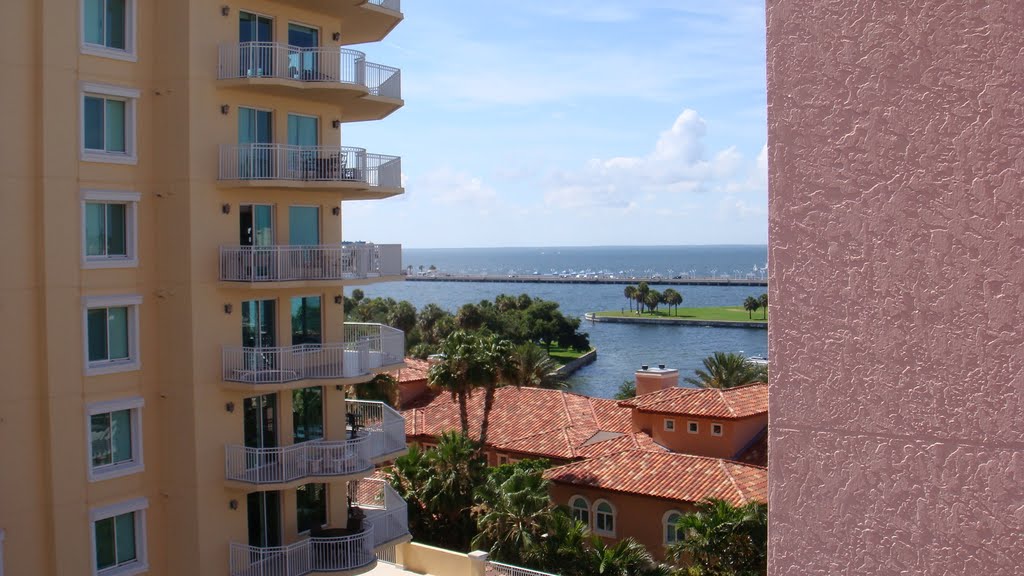 St. Petersburg, FL. View from Vinoy Park Hotel. by vvb