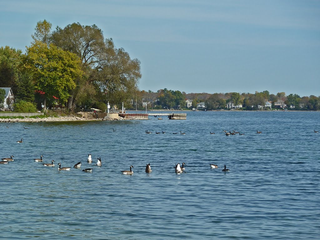 Bay of Quinte, near Bath by FGuertin