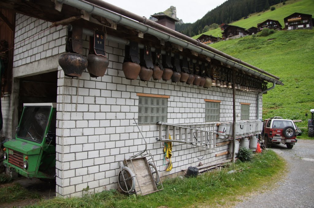 Gimmelwald Cow Bells by sdiebol