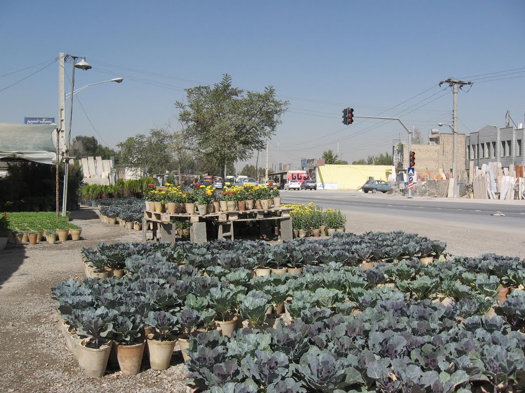 St. Moshtaq (second) - Esfahan خيابان مشتاق (دوم) اصفهان by mohsenbe