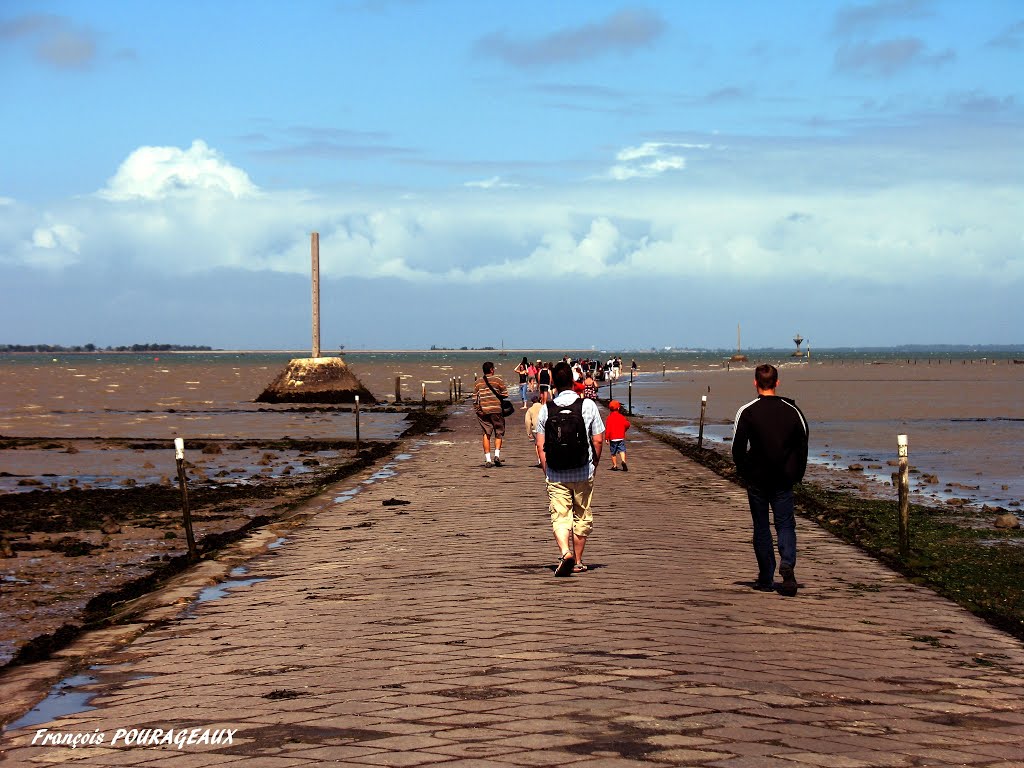 1 Marée descendante passage du Gois, 2008 by francois pourageaux