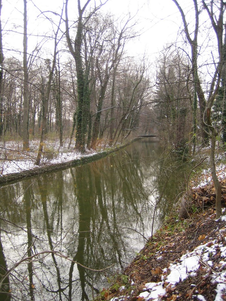 Schwabinger Bach (19.11.2007) by Ich Dich