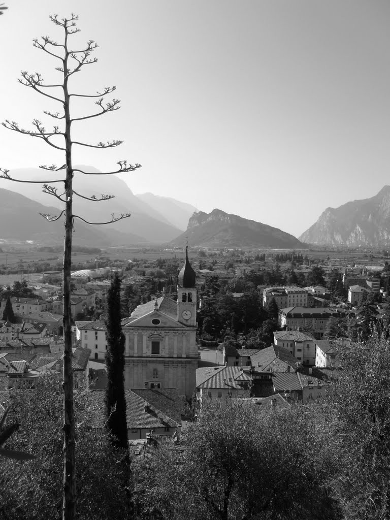 Colleggiata e Monte Brione by maxalbino