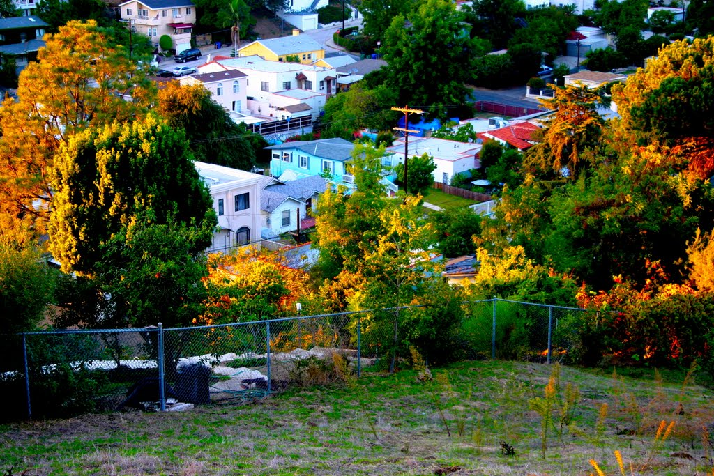 Sunset time in Echo Park, Los Angeles, CA by Michael Jiroch