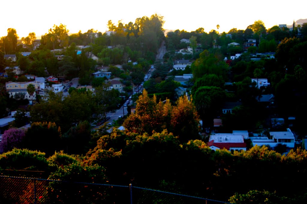 Sunset time in Echo Park, Los Angeles, CA by Michael Jiroch