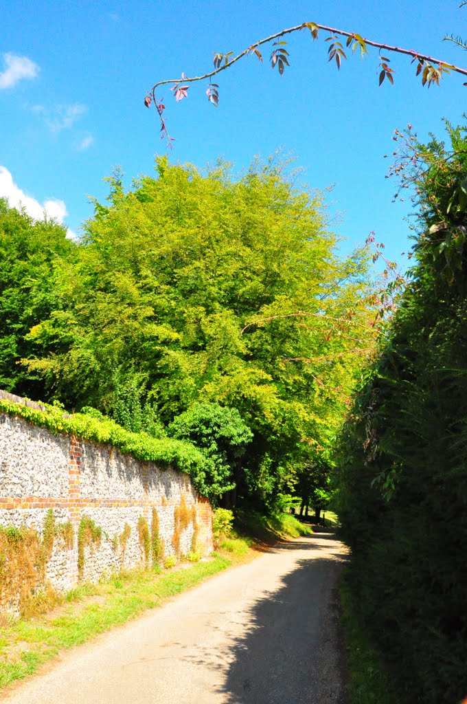 Outside The Walled Garden, Hughenden Manor by DAVID ROBINS