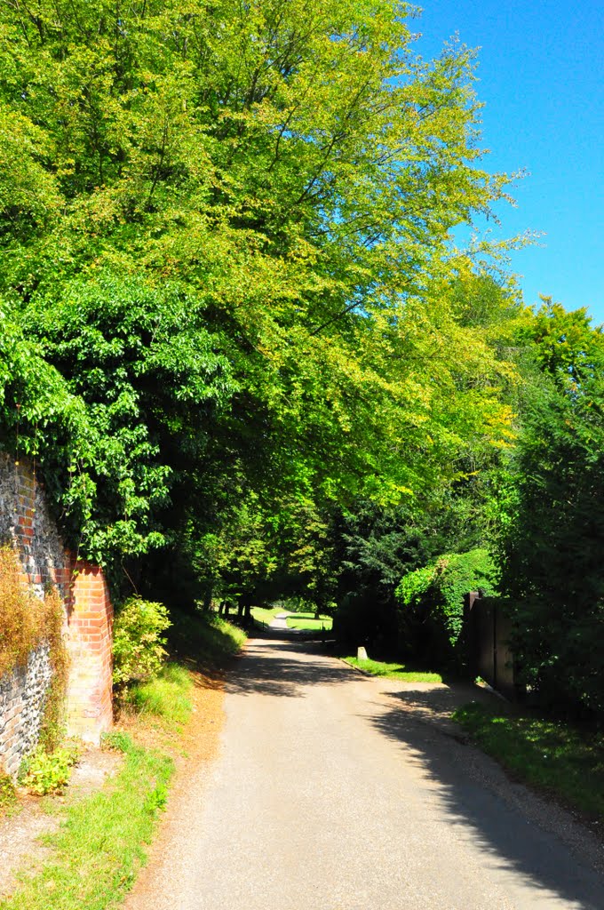 Outside The Walled Garden, Hughenden Manor by DAVID ROBINS