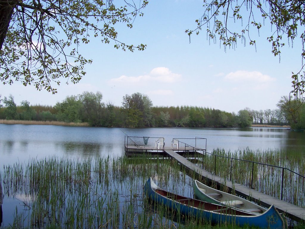 Vólent öböl /Vólent bay/ by Tutula