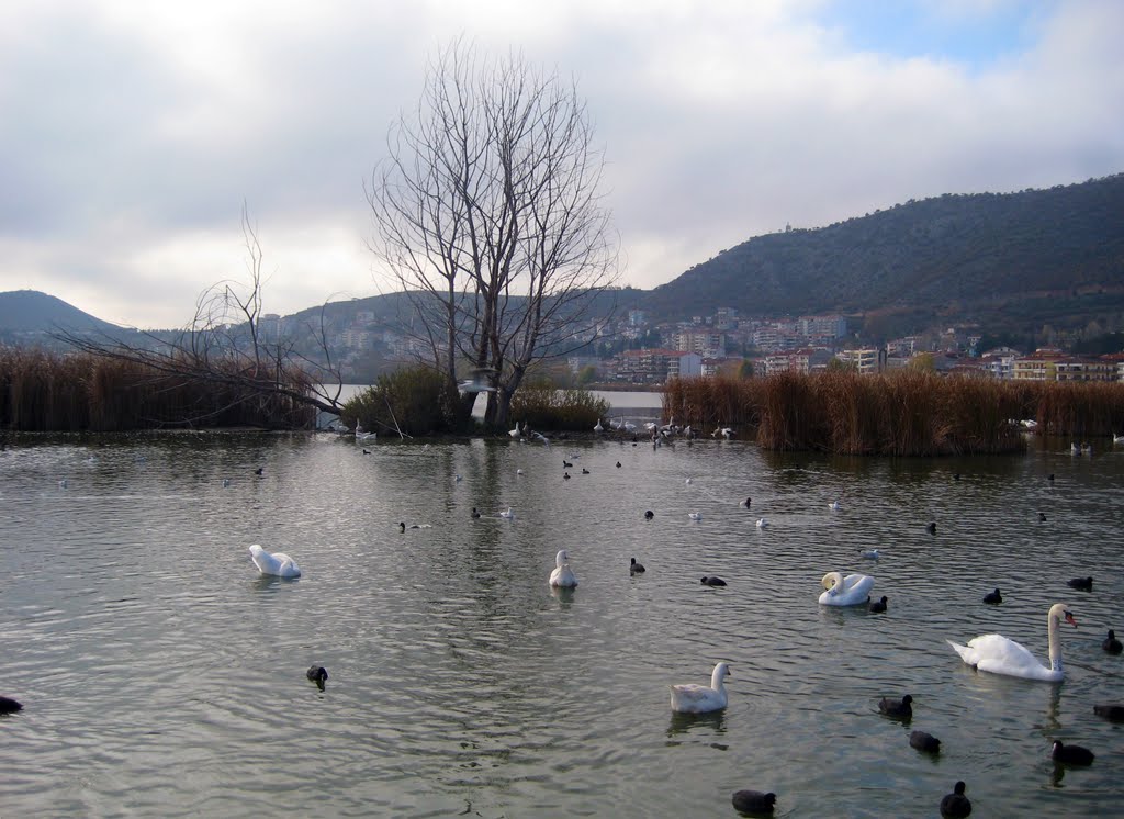 Kastoria by Giannis V.