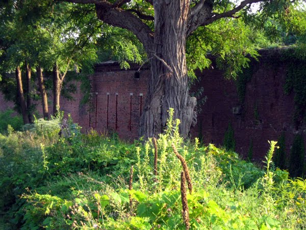 Site of another Indian mound before fort was built by nailhed.com