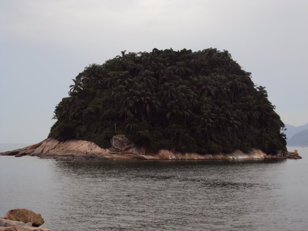 Ilha de Urubuqueçaba, Santos by Ronaldo Pedro