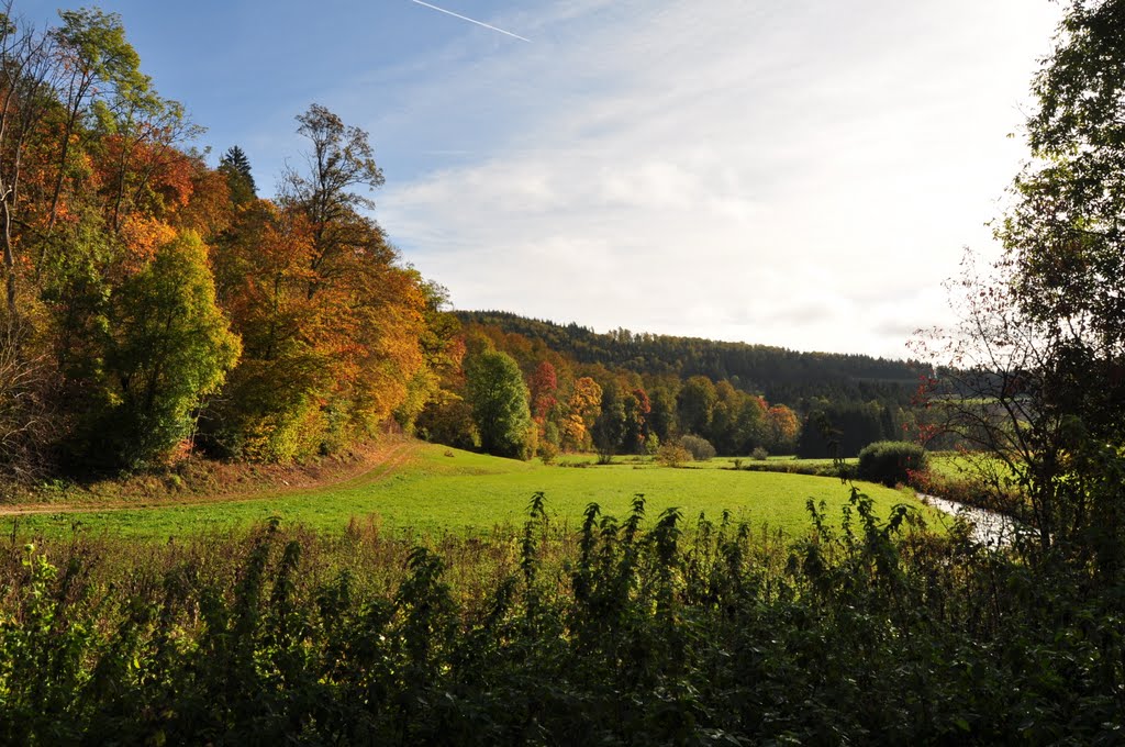 Der Herbst - ein Impressionist by hannes riester