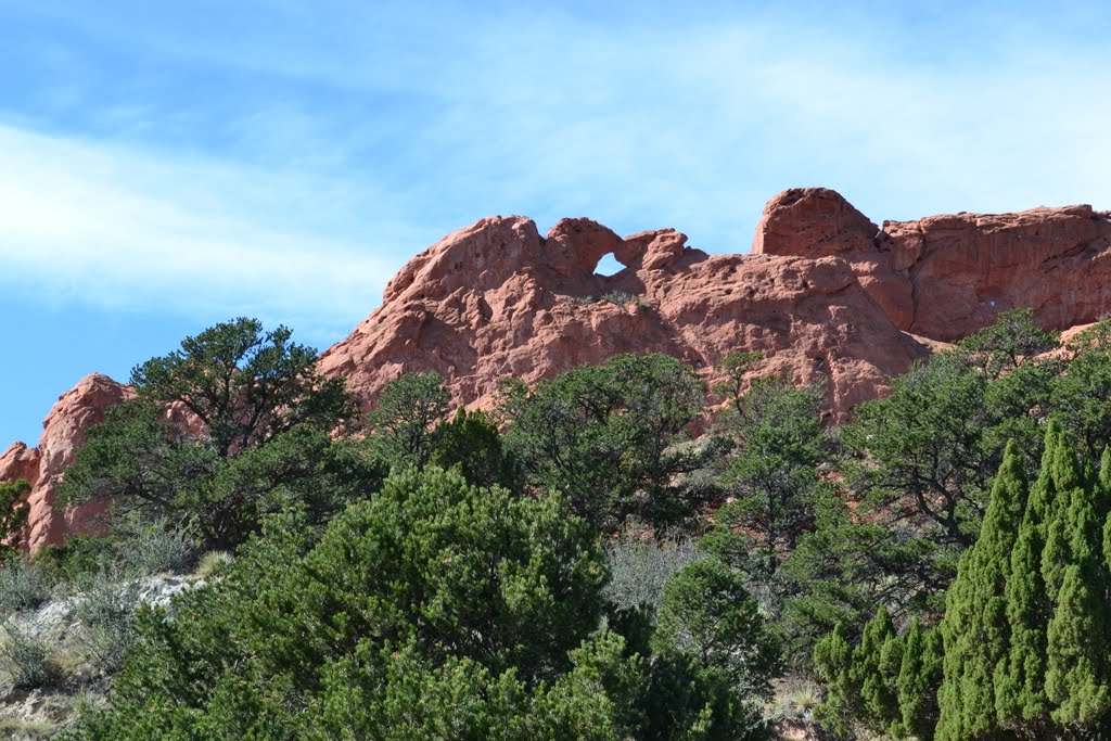 Kissing Camels from Loop Road -2011- by GSZENDRODI