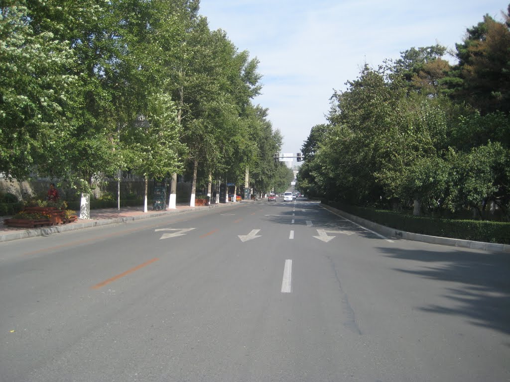 夏季的新民大街（面向北）Xinmin St. in Summer,Facing North by wanghongtao999