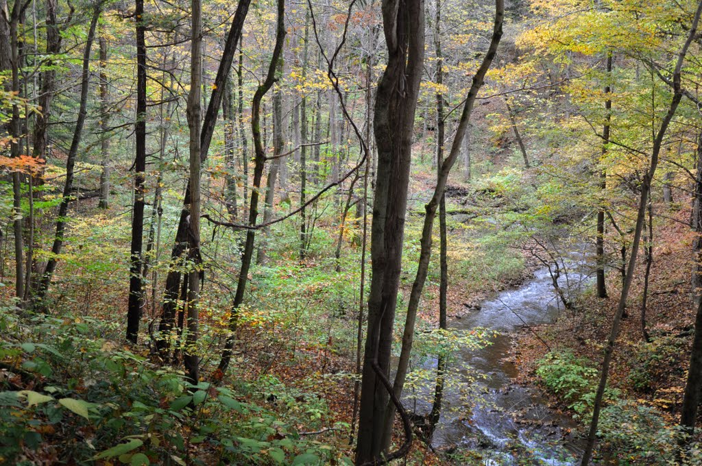 Canastota Cazenovia State Trailway by VKeith