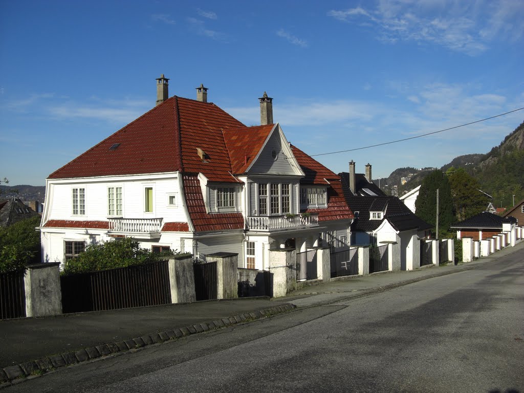 A beautiful house in Formannsvei by Mona Lygre